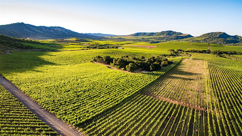 Napa’s Mountain Cabernets
